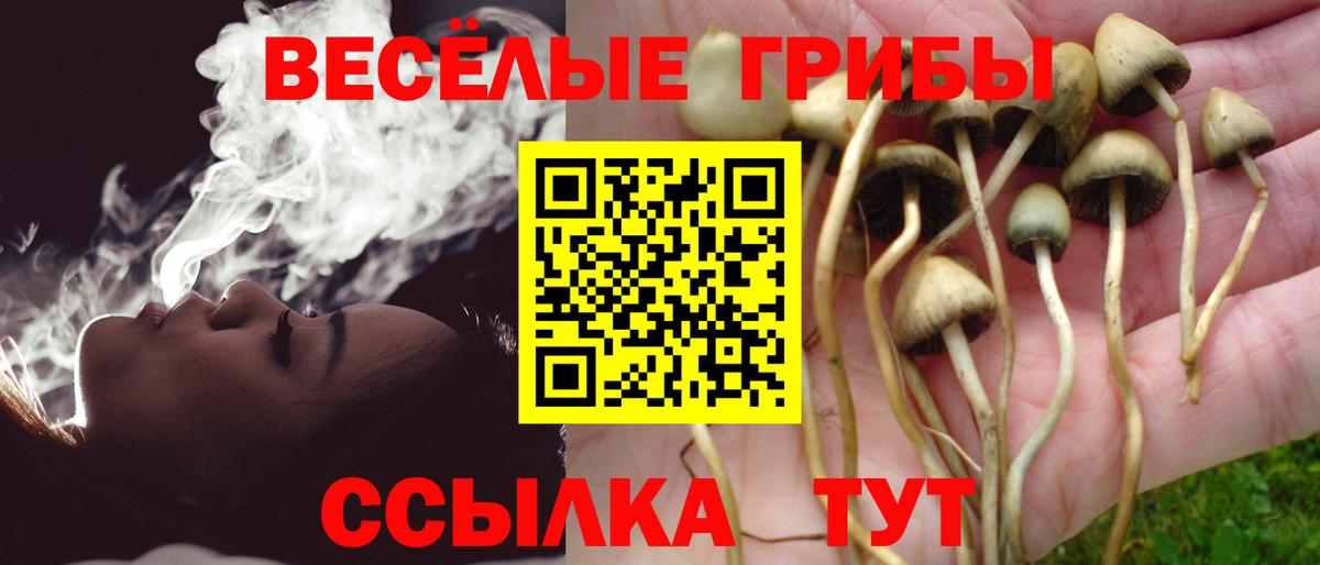 Псилоцибиновые грибы Psilocybe  Галлюциногенные грибы Magic Shrooms  Сухой Лог  Вход с VPN 
