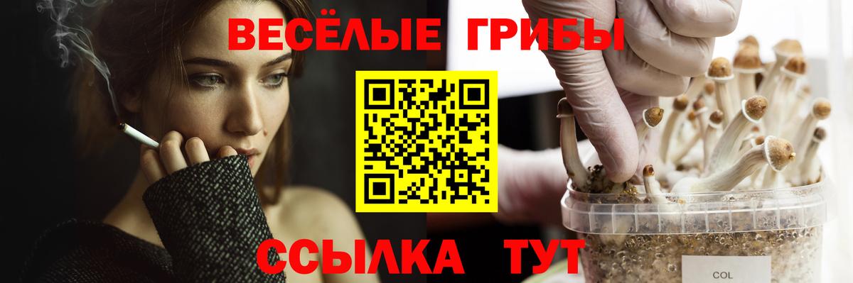 Галлюциногенные грибы прущие грибы Сухой Лог